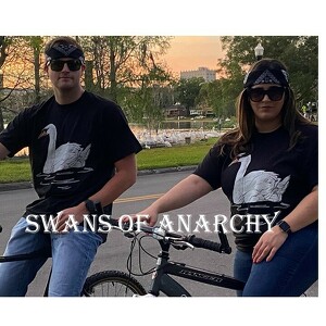 Swans of Anarchy